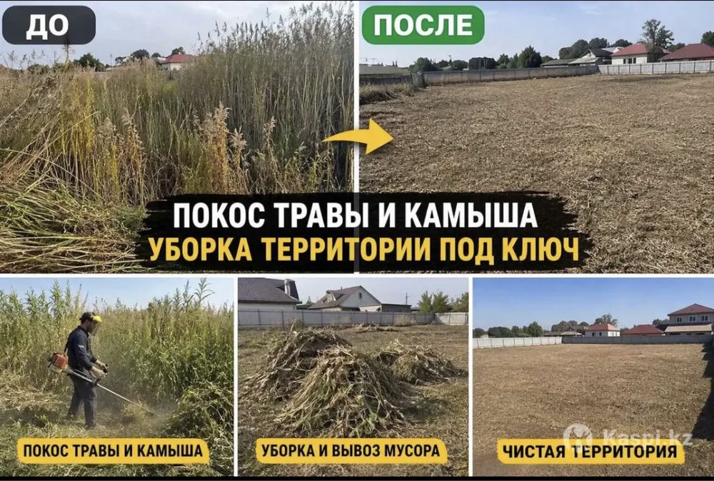 Профессиональный покос травы и камыша | Атырау