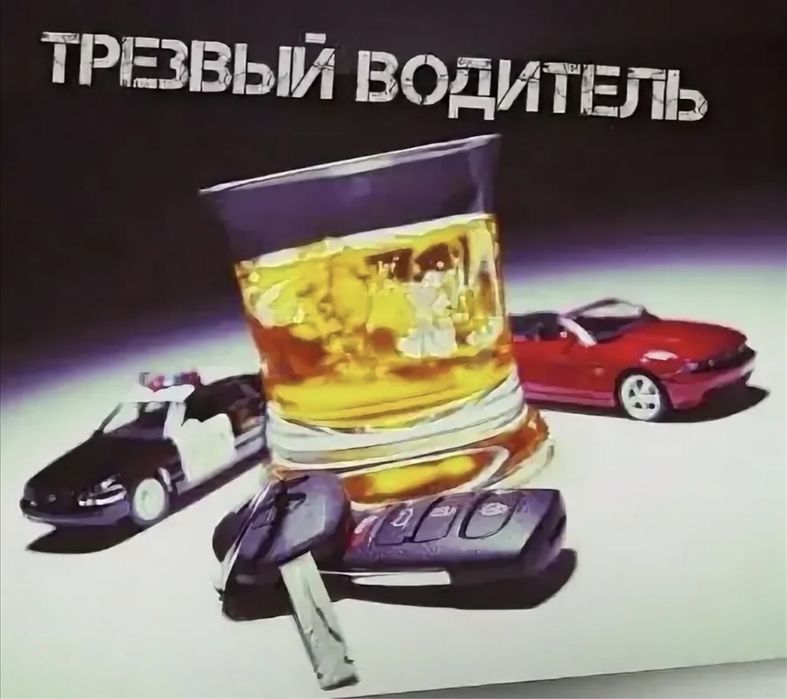 Трезвый водитель