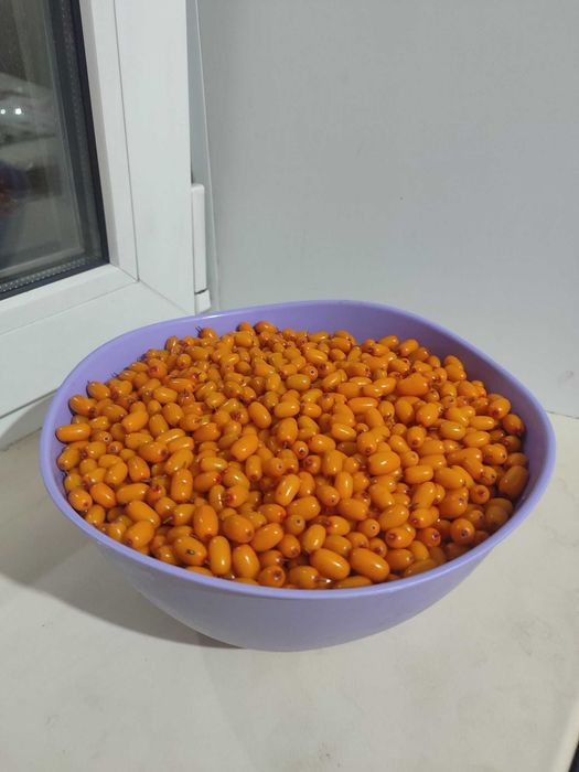 Продам облепиху,700тг