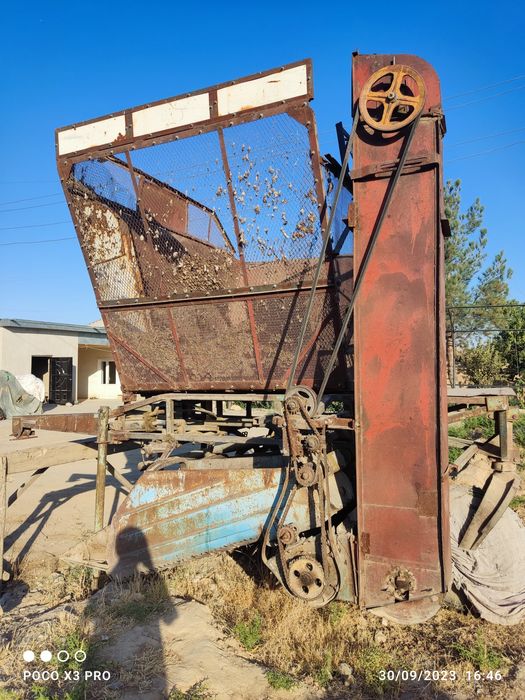 76 lik Kurak shiladigon