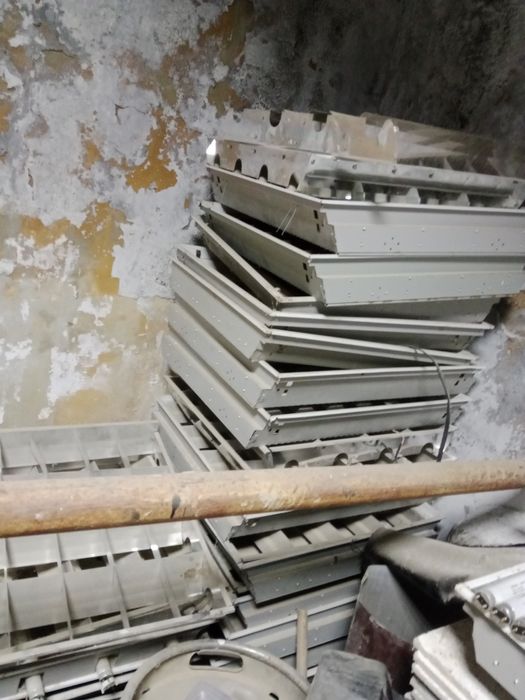 Ақтау ақшұқыр бегей