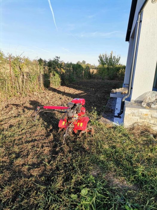 Tundem pomi grădinărit plantăm copaci etc