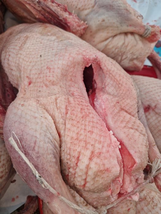 Тушки гуся .Қаздар бар дайын семіз