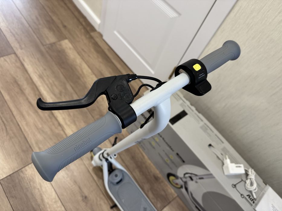 Электросамокат Ninebot KickScooter Zing C10