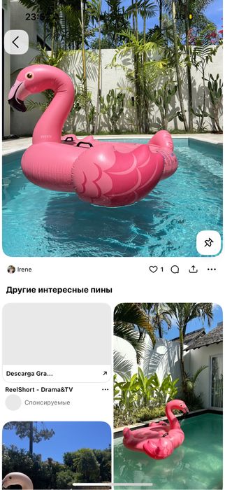 Дайын бизнес Бассейн