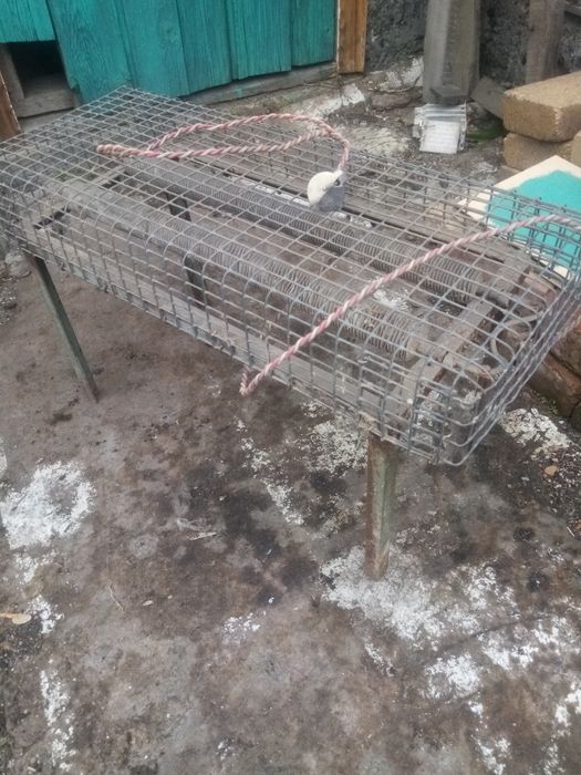 Тен обогреватель