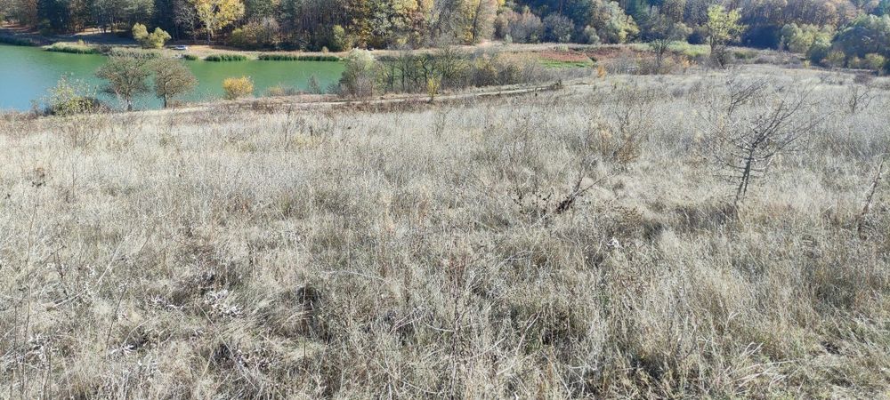 Продава се Парцел в с. Николаевка, Област Варна - 6200 кв.м за 11 €/кв.м - Снимка #2