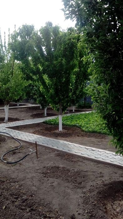 Срочная продажа дома