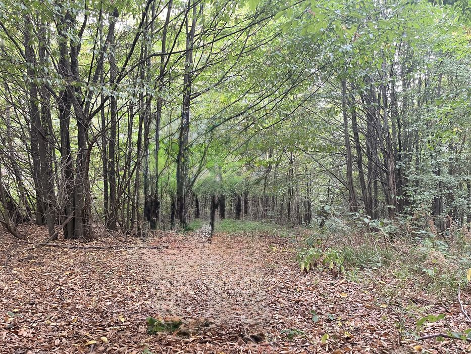 Oportunitate de investitie! Teren intravilan 1026 mp cu puz aprobat,