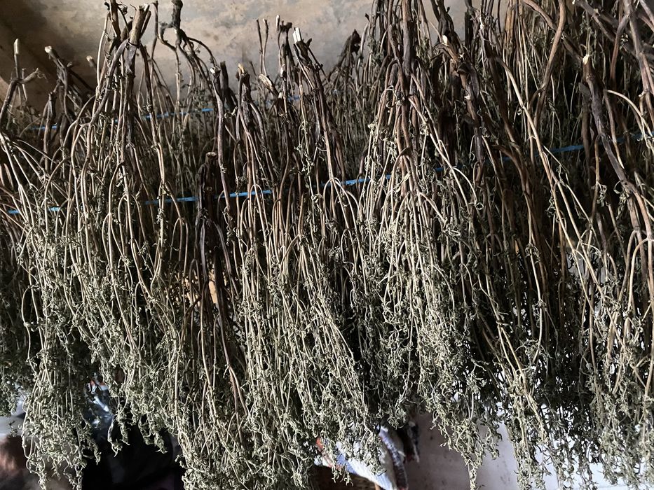 Miez de nucă, hrean, cimbru,mentă