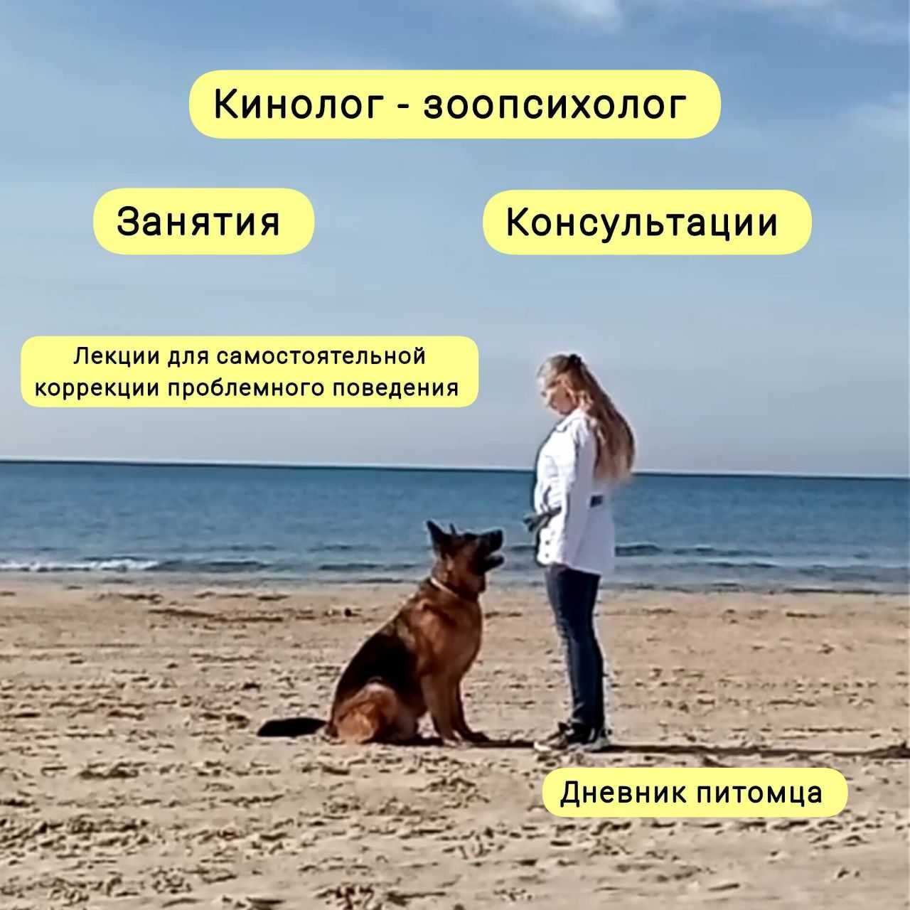 Кинолог, зоопсихолог, онлайн консультации. Ит өңдеуші. - Услуги для животных  Астана на Olx