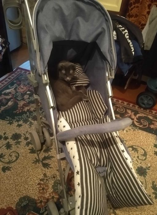 Срочно продаётся детская коляска с бонусом!