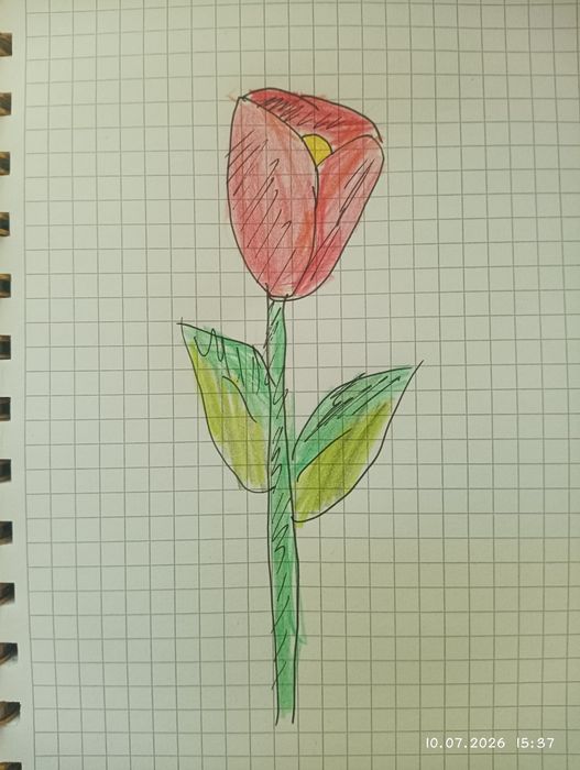 Рисую цветы/растения