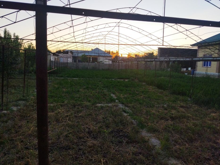 Parnik sotiladi 5 sotx eni 16 M uzunligi 31.5m