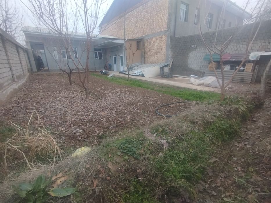 4 сотихли ховли Дехконободда Тожик махалла