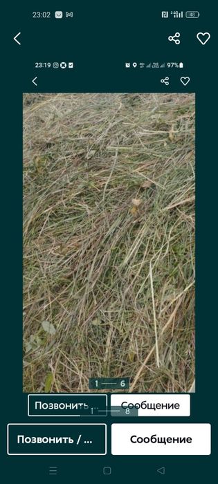 Продам сено луговое