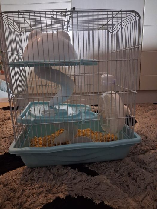 Мышь пятнистая, с клеткой