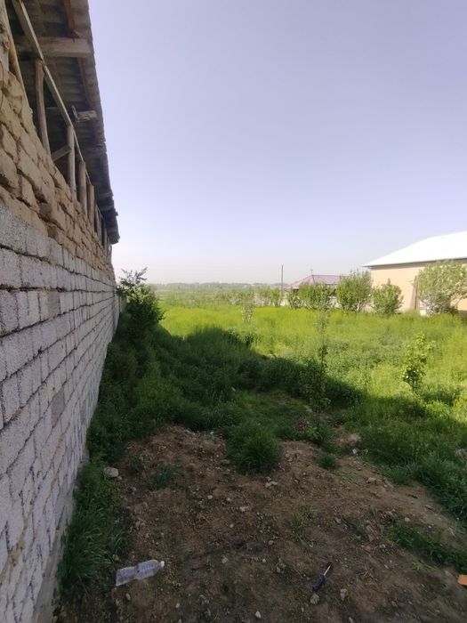 Kottakon hovli sotladi