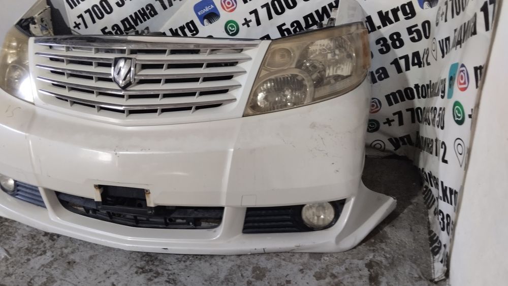 Ноускат Toyota Alphard