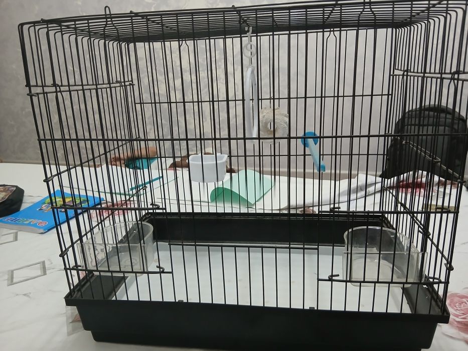 Сетка для птицы попугай