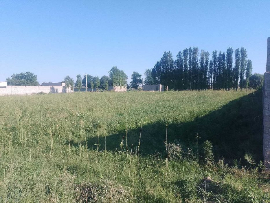 Чиноз, Эшонободда 52 соток участка сотилади
