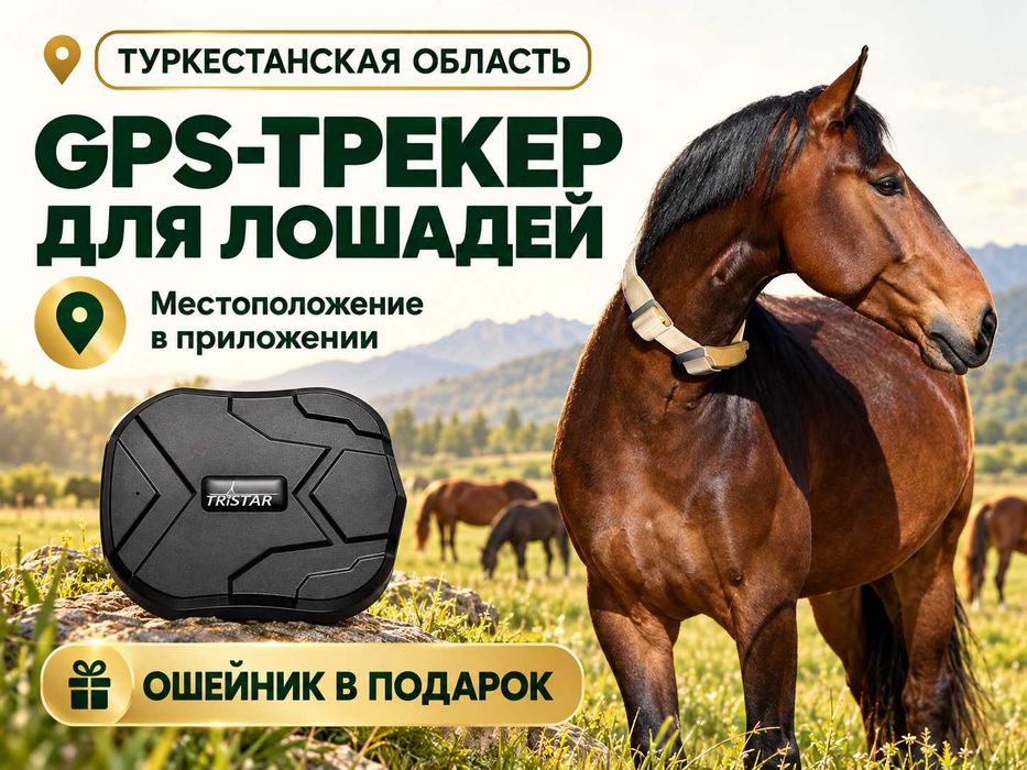 GPS трекер для лошадей. Жпс жылқыға