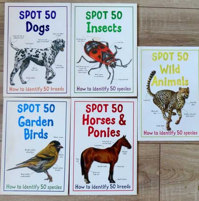 Cărți franceză & engleză pt. preșcolari și respectiv ciclu gimnazial