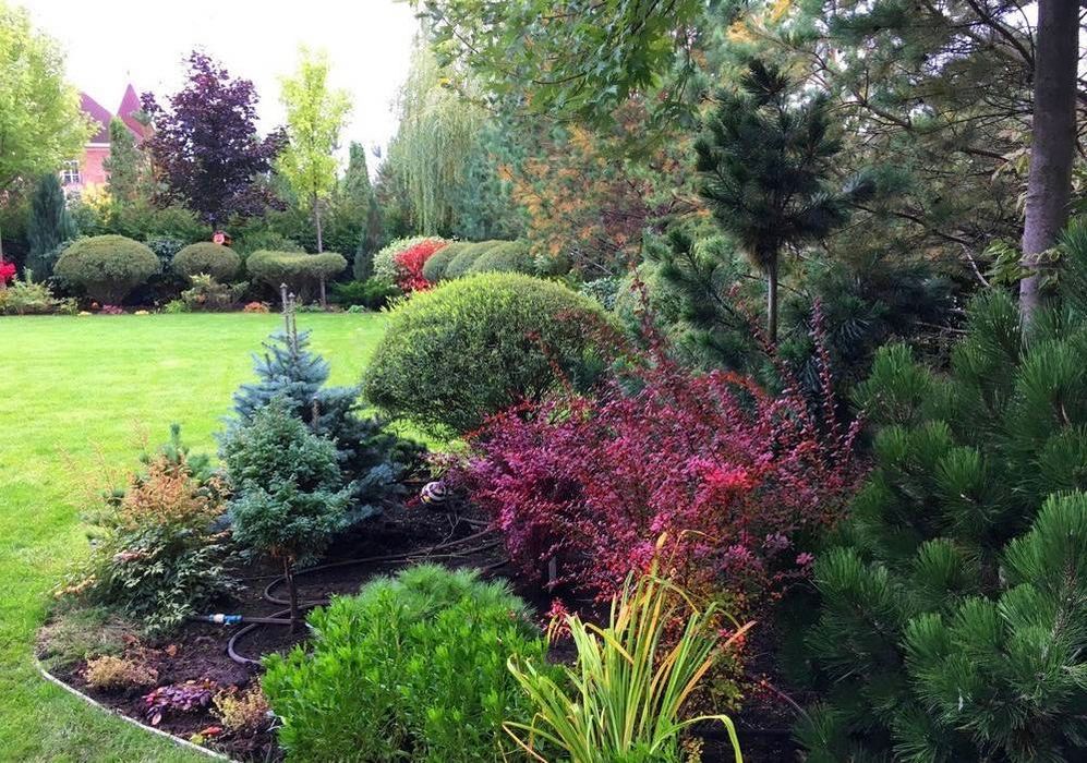 Градинарски услуги Косене Кастрене Почистване на парцели Озеленяване