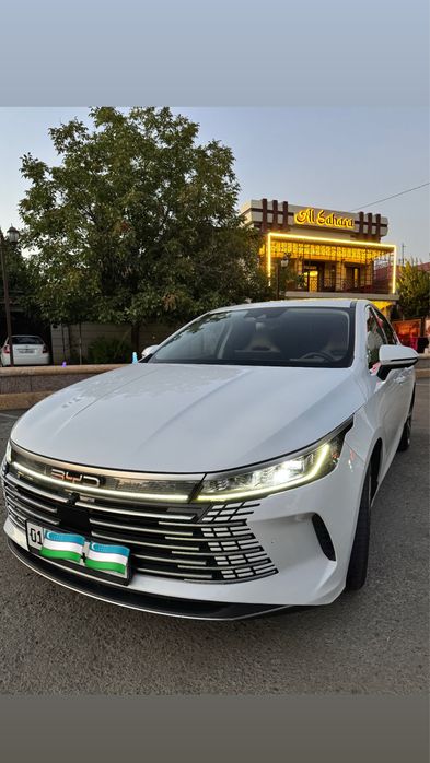 Byd chazor full позиция