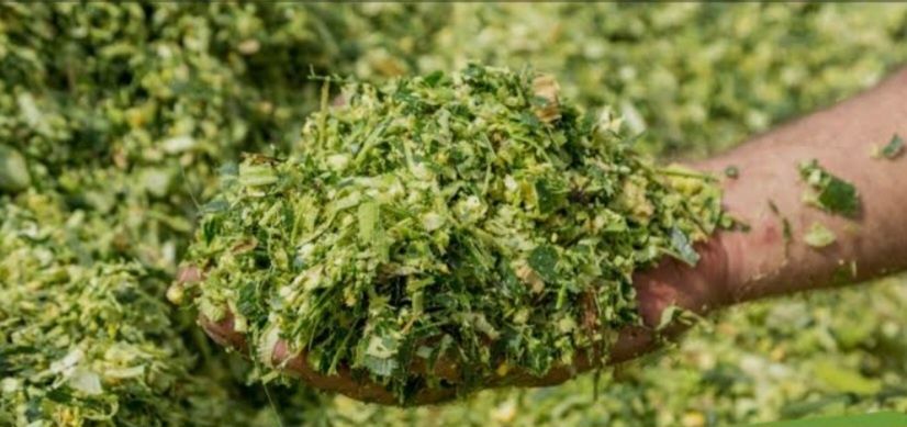 Silos sifatli va arzon narxlarda