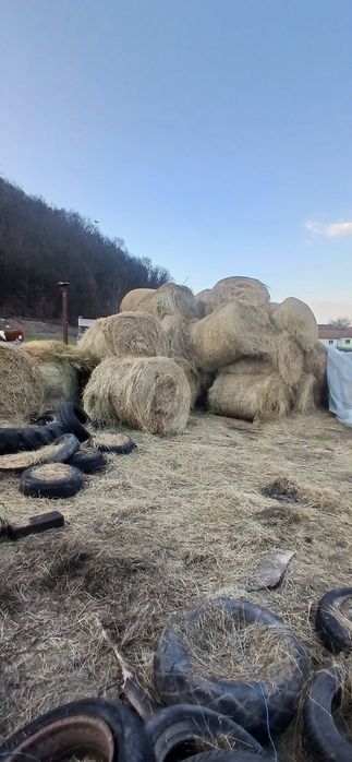 Vând baloti de fân