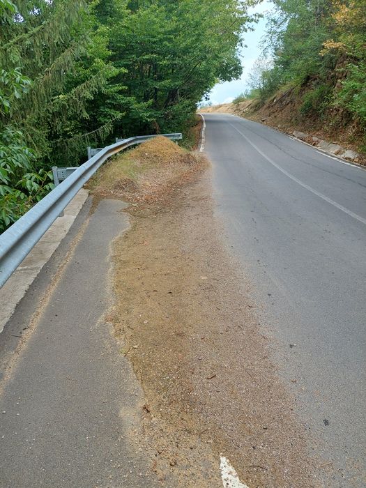 Casa de vacanta cu 2 parcele