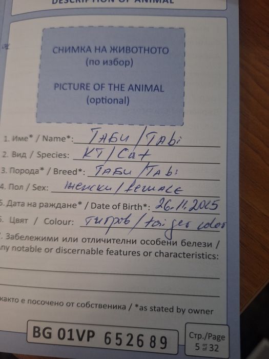 Женско Коте Таби