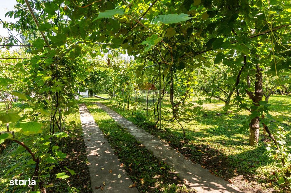 Casa de vacanta tip conac de vânzare Valenii de Munte