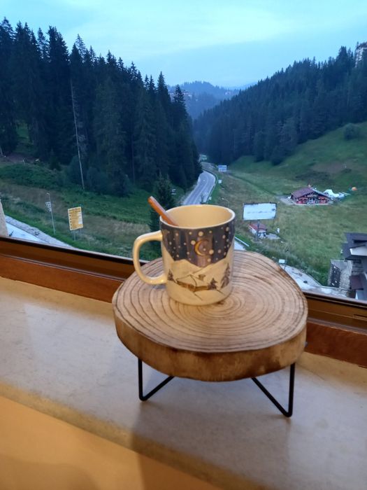 Пампорово, студио  за нощувки