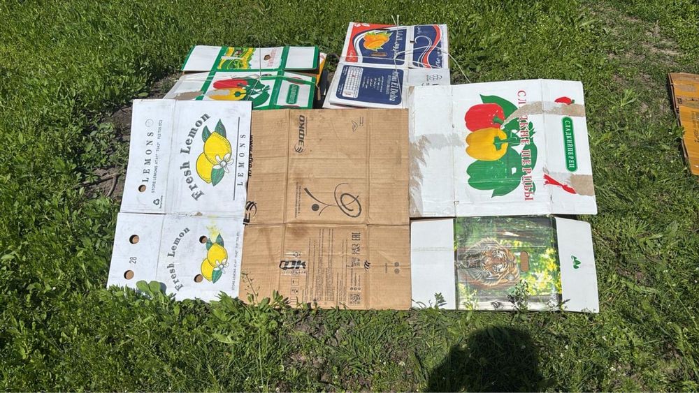 Каропка для огурцов буу