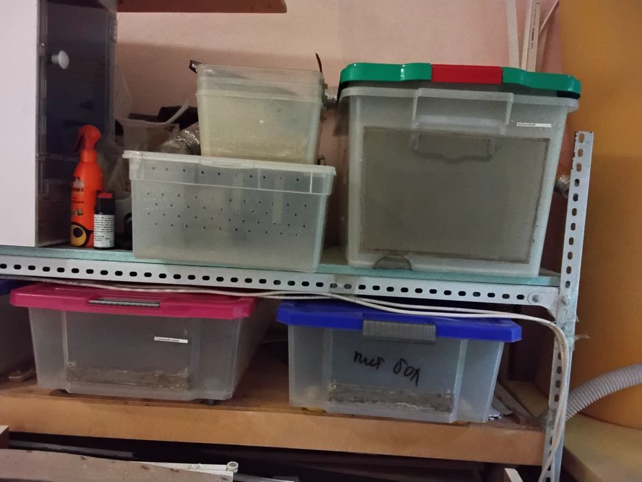 Контейнеры разные для  рептилий