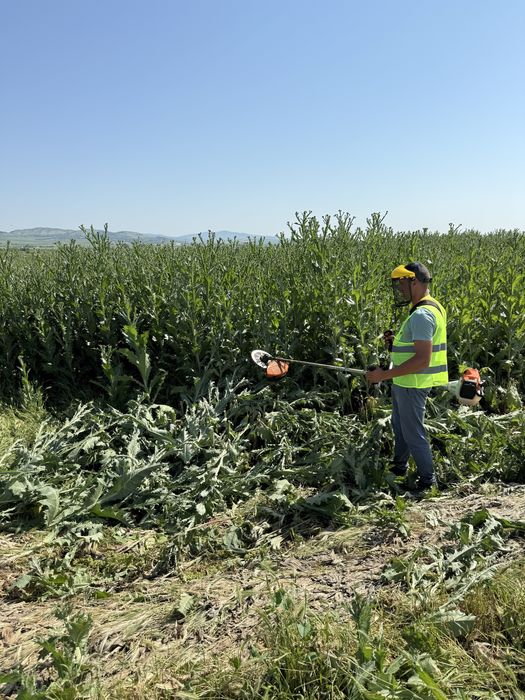 Curatam sau defrisam  terenuri