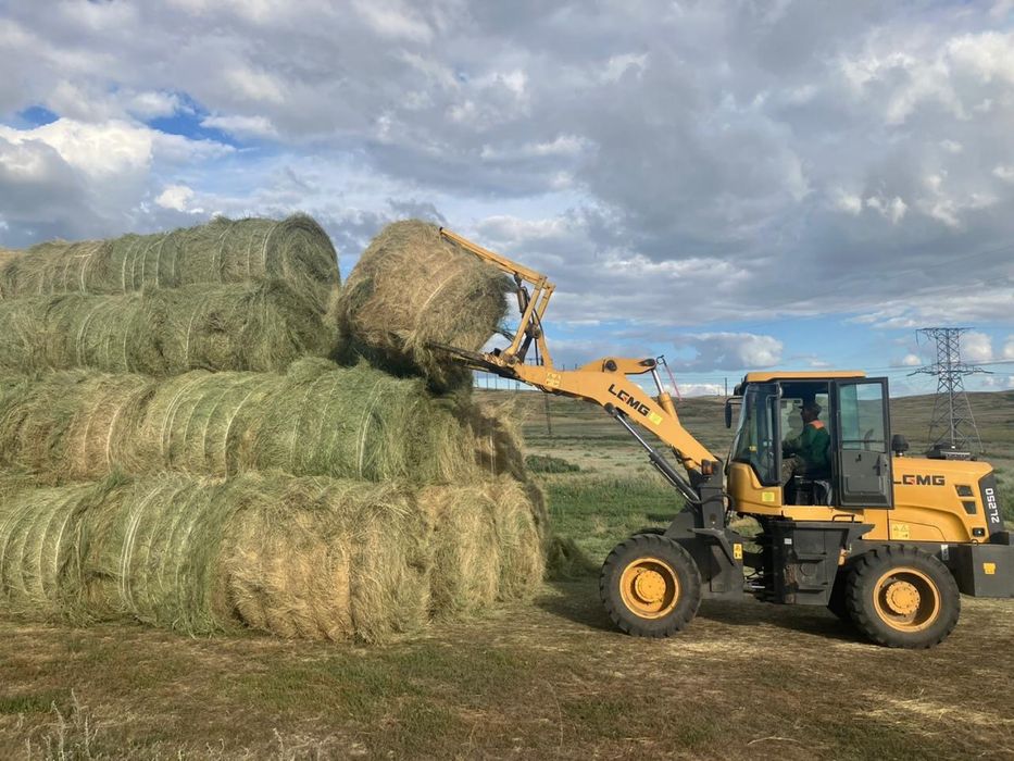 Сено житняк луговое