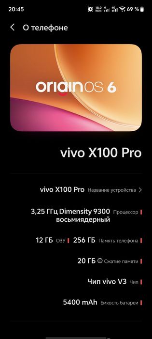 Vivo x100 pro 12/256