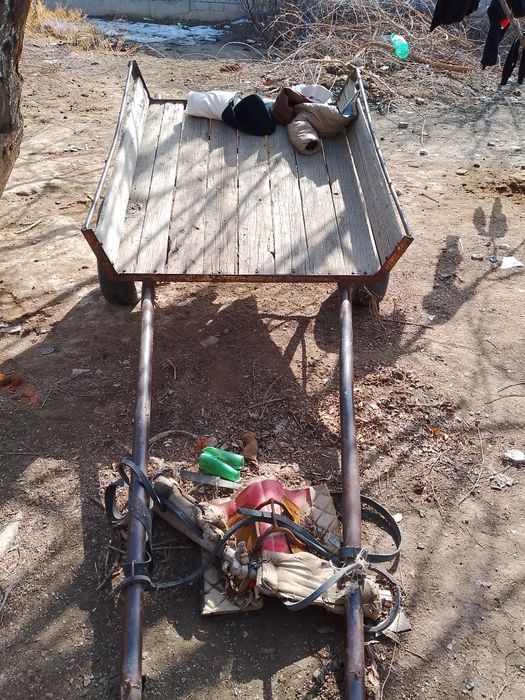 Продам ишак арба