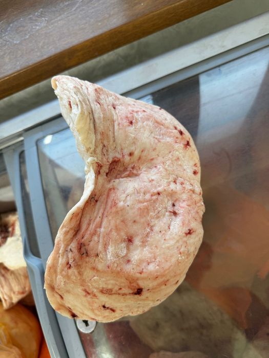 Мен өзімді оргазмға әкелдім (видео желіде)