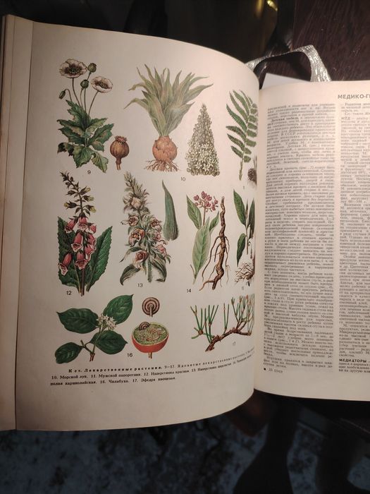 Медицинская Энциклопедия