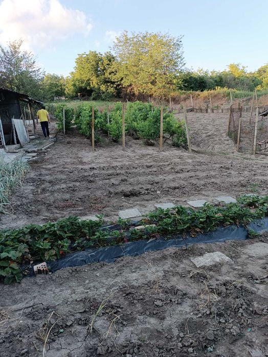 Продава се Къща в с. Хаджидимитрово, Област Велико Търново - 155 кв.м за 265 €/кв.м - Снимка #5