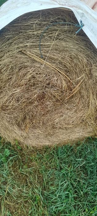 Baloți de fân 2025