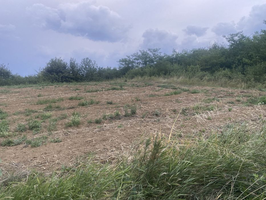 Teren watman 1500 m2