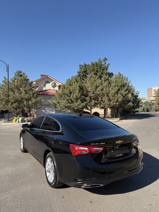 Malibu 2 Premier 2022