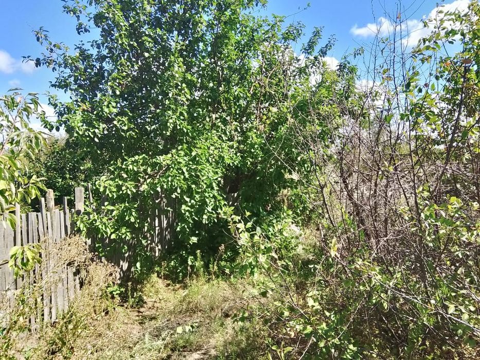 Продам дачу ябланька Павлодар