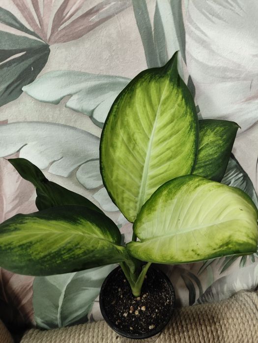 Приглашаю в группу