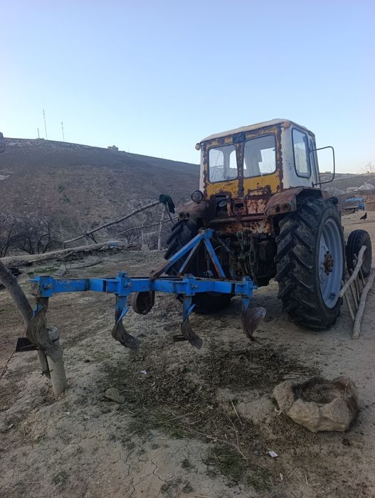 Yili 84 oʻzimni nomimda